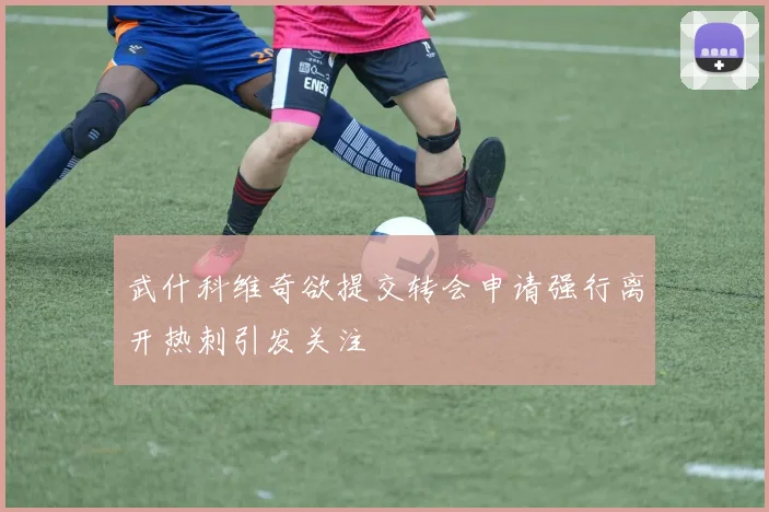 武什科维奇欲提交转会申请强行离开热刺引发关注