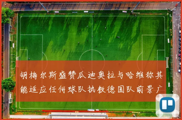 胡梅尔斯盛赞瓜迪奥拉与哈维称其能适应任何球队执教德国队前景广阔